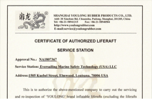 YOULONG Authorization